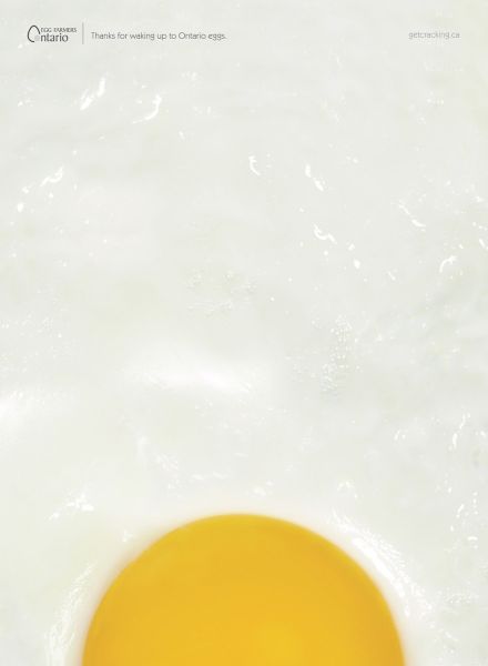 egg ads